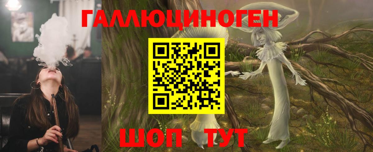 Псилоцибиновые грибы Psilocybine cubensis Вышний Волочёк