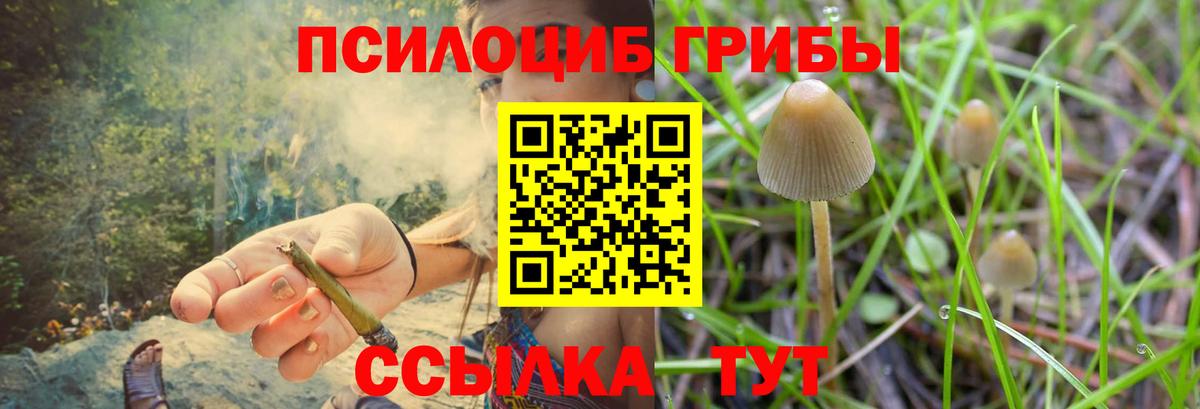 Вышний Волочёк  Галлюциногенные грибы MAGIC MUSHROOMS  Вход с VPN  Галлюциногенные грибы Magic Shrooms 